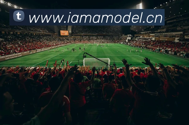 kaiyun开云官方网站APP 封面图